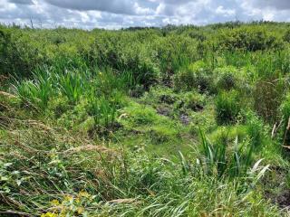 4 person holiday home in Bredebro-By Traum - Bredebro - 5