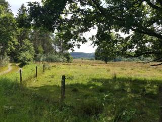 5 person holiday home in Silkeborg - 9