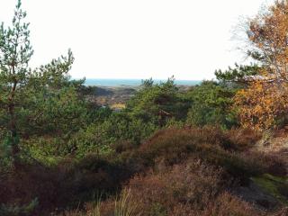 Modern Cottage near Beach - By Traum Ferienwohnungen - 1