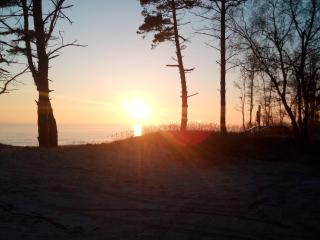 Modern Cottage near Beach - By Traum Ferienwohnungen - 4