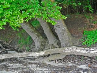 Luxury Retreat in Hejlsminde - By Traum - 3