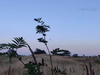 4 star holiday home in Brønderslev - 2