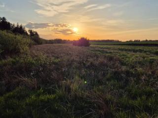 4 star holiday home in Brønderslev - 4