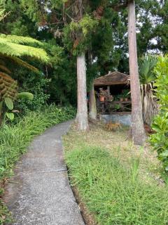 Gîte LEUCALYPTUS - 8