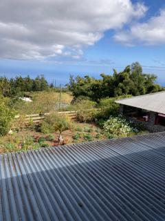 Gîte LEUCALYPTUS - 9