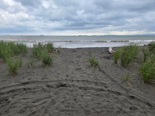 Jane's Beach Resort - 4