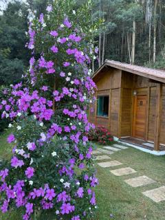 Chales Maravilha - 8