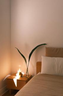 Bondi Beach Apartment - 0