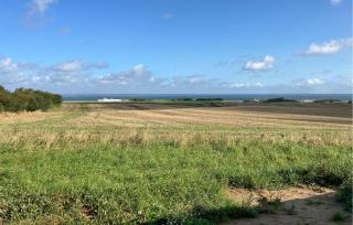 3 Bedroom Beautiful Home In Lemvig - 9