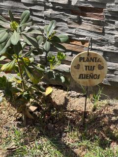 La casita del Olivo - 8