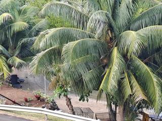 Tehuarupe Surf Studios - 3