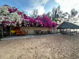 Orchid Boutique Beach Resort - 4