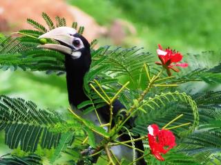 Aislinn Seaview Villa with Private Pool - 4