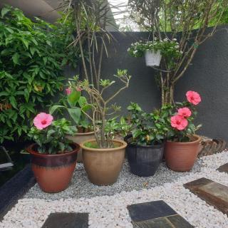 Aislinn Seaview Villa in Nature -Luxury Pool - 2