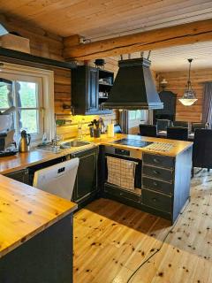 Family Cabin With Views Of Lake Femunden - 5
