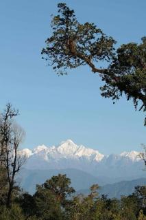 Durga Homestay Property of Royal Respite - 8