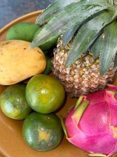 Alexa Garden House - 4