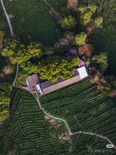 Lushimon Retrecrt - 0