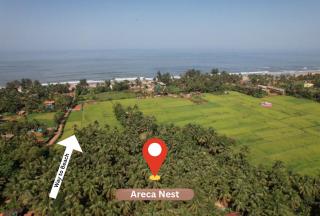 Areca Nest - 5