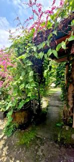 The Hidden Gem of Jembrana Bali - 8