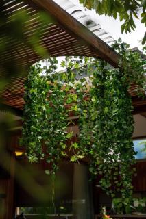 Charming 1BR Wooden Villa in Seminyak - 1