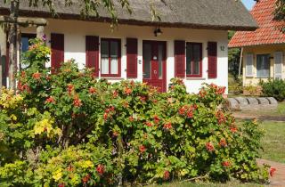 Dünenresidenz Glowe - Haus Luisa - Glowe - 8