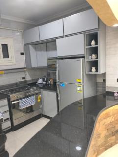 Fully Furnished Apt New Cairo - 9