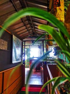 Munnar Plantation Home stay Tea Drops - 3