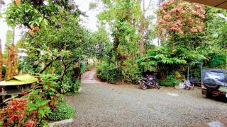 Munnar Plantation Home stay Tea Drops - 7