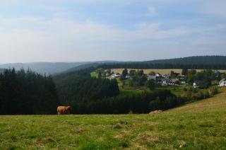 Berggasthof zur Glocke - Winterberg - 5