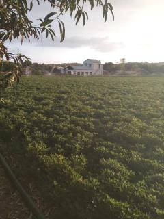 Jay jalaram farm and risort - 8