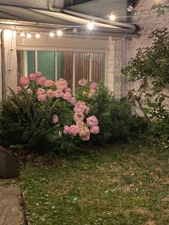 La charmante petite maison - 8