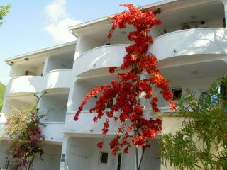 Vila Rada - Čanj - 8