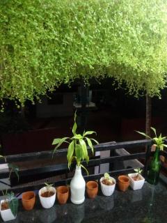 Garden view home stay for family near meitra hospital - 2