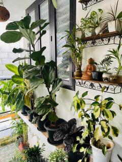 Garden view home stay for family near meitra hospital - 5