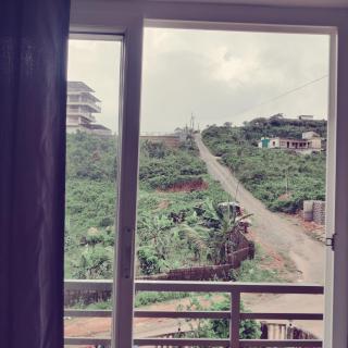 Misty Vibes Vagamon - 5