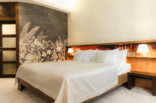 Boutique Hotel Dubná Skala - 3