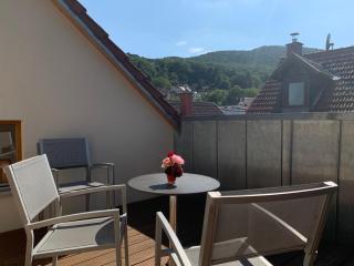 Haus mit Kunst, Neustadter Stadthaus, 5-6 Betten, 4 Bäder, 3 Terrasse und Balkone - 0