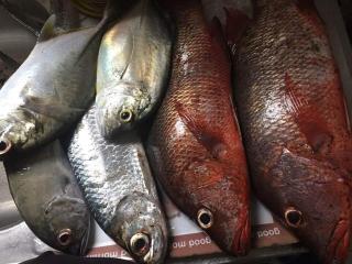 Sigatoka Town Home in Coral Coast - 9