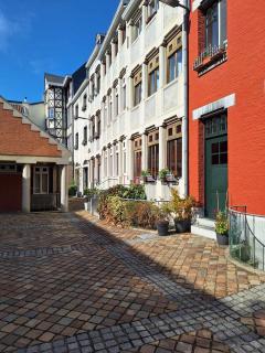 Charmant Duplex Historique au Cœur de Liège - 3