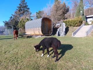 Bergpanorama Ruhla - 7