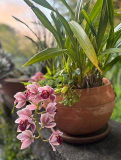 Milton Village Retreat - secluded comfort - Milton - 3