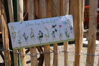 Gästehaus im Sayntal-Tiny Haus - 5