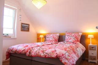 Ferienwohnung Ostwind in Born - 5