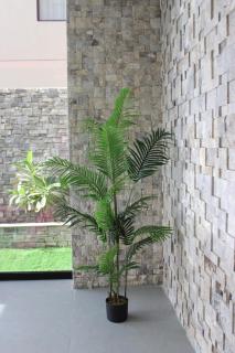 Lavita Villa - Stunning pool villa Ajman - 3