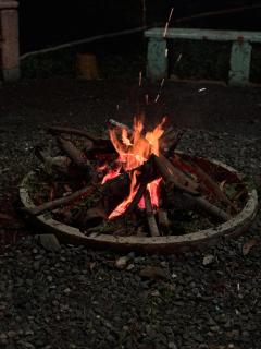 Banana Farmhouse Auroville - 8