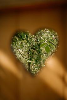 Forest Home Okoř - 2