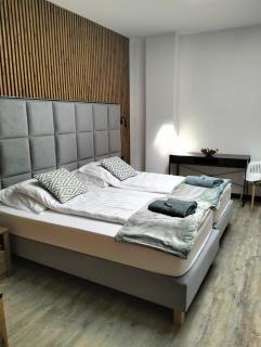 Nowoczesne Apartamenty Stare Miasto - 9