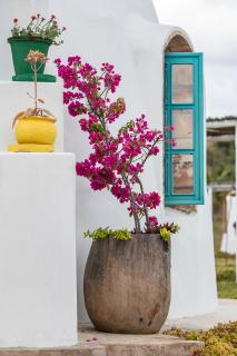 Humbi Farm - 9