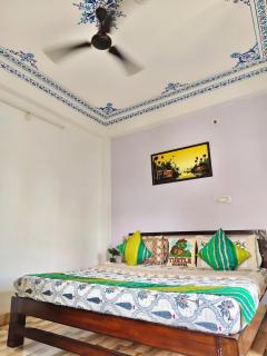 Turtle Hostel Udaipur- 50 mtr from Lake - 5